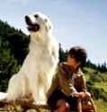 Belle et Sébastien : l’aventure continue