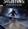 The Sighting