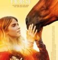 A Sunday Horse