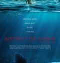 Instinct de survie – The Shallows