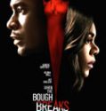 When the Bough Breaks