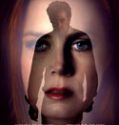 Nocturnal Animals